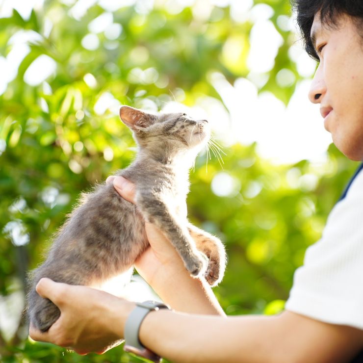 いのち、キラキラ