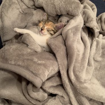 はじめてのおふとん