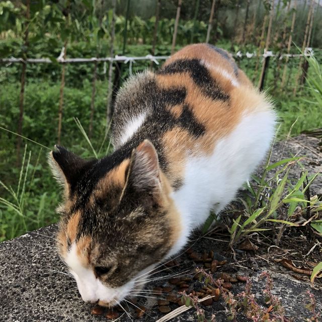 みんなから愛されたね！