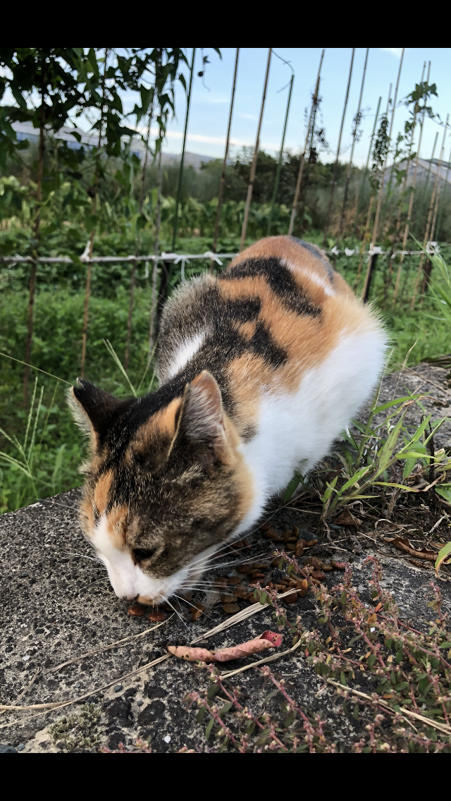 みんなから愛されたね！