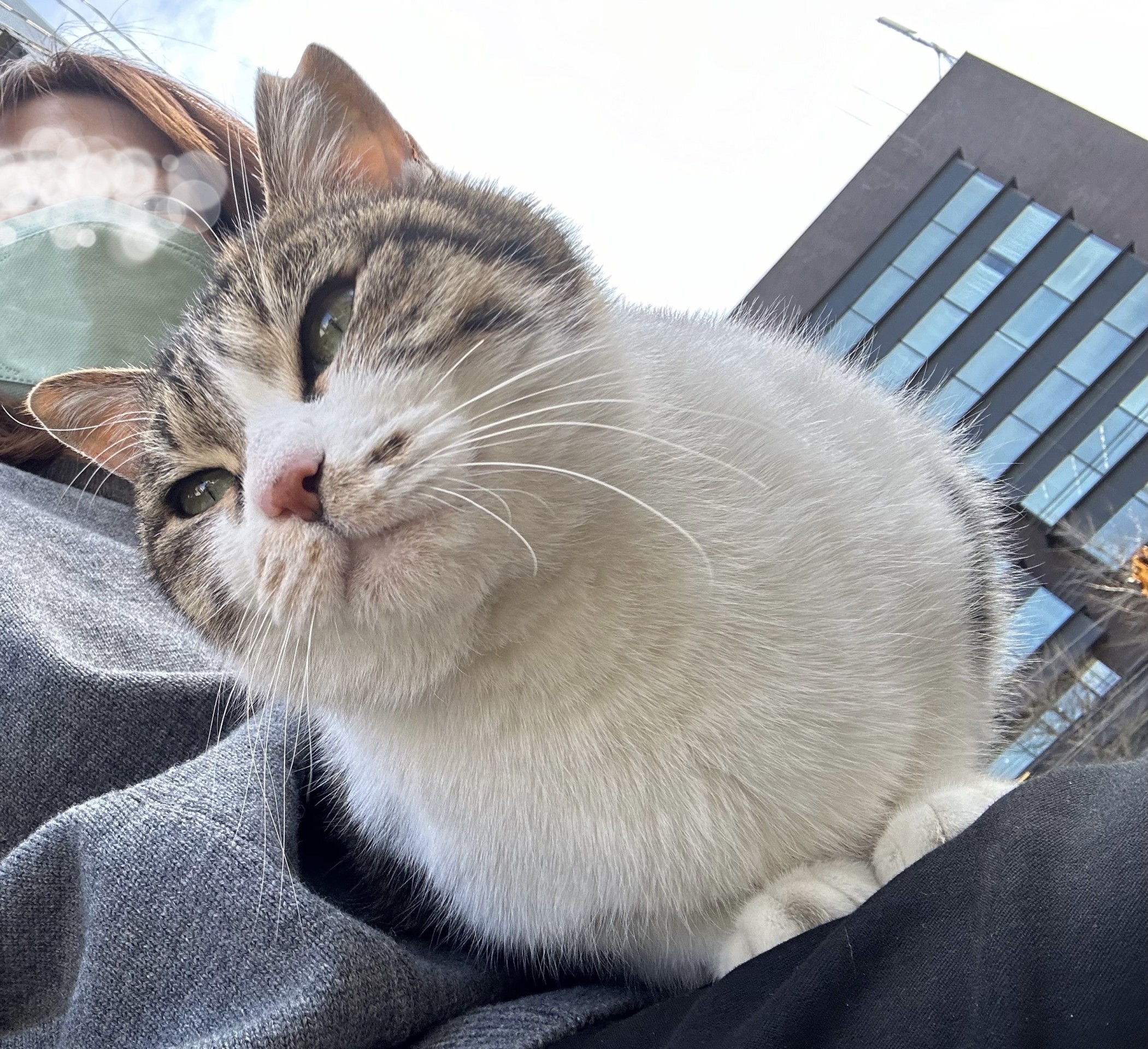 寒くなるから