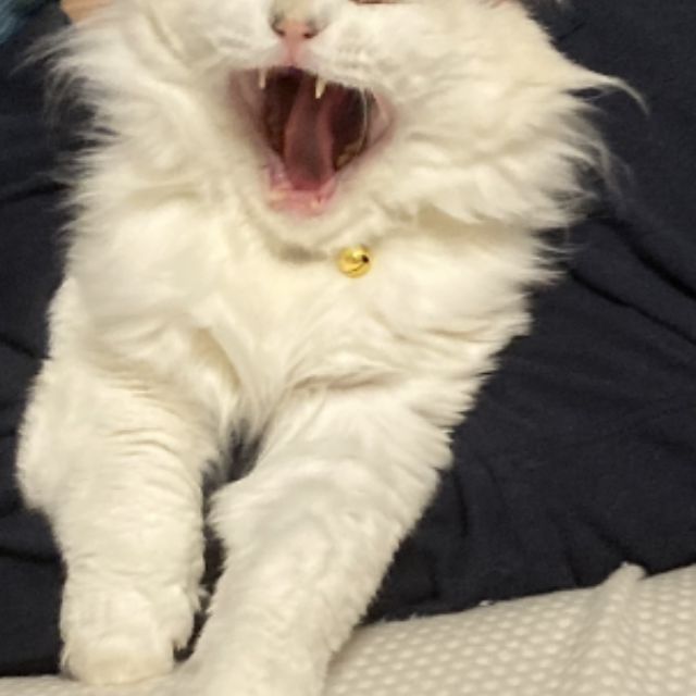 いのち繋いだ❣️