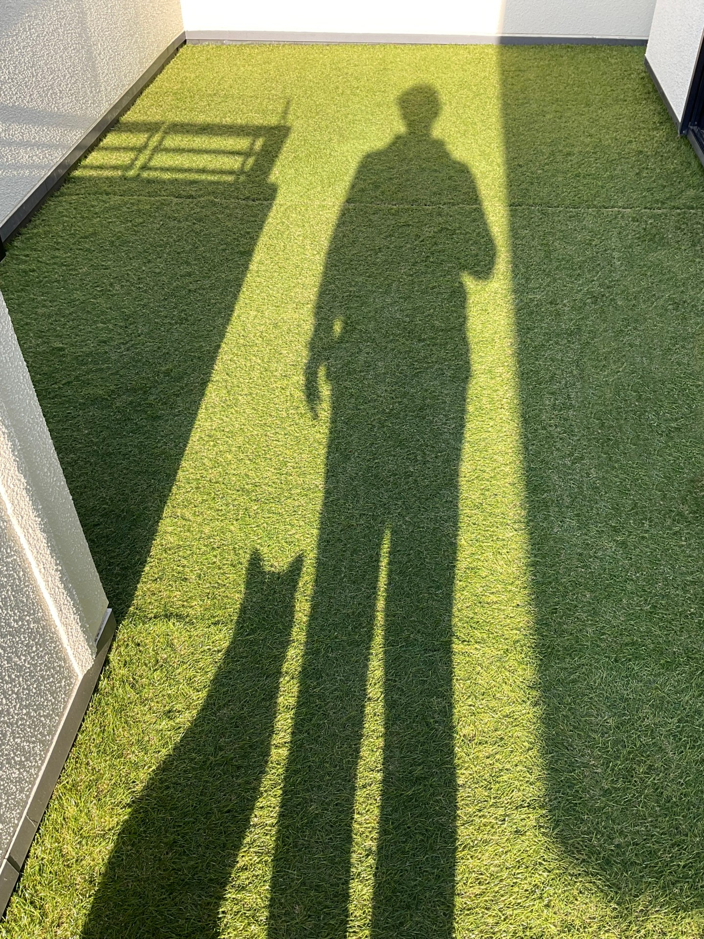君と僕の朝