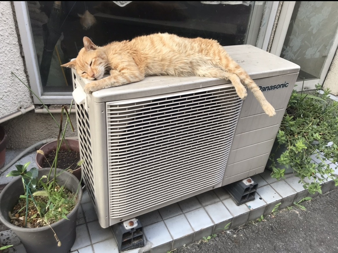 あったかくて〜ここちが良い〜💤