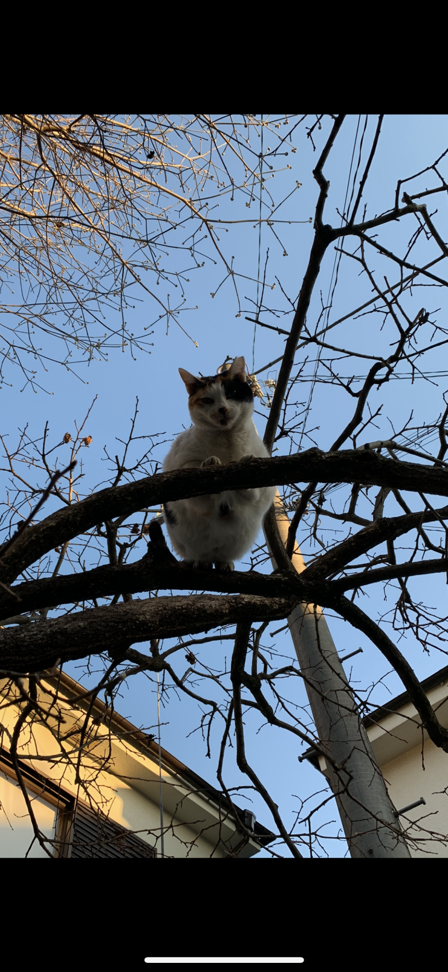 おかえり！