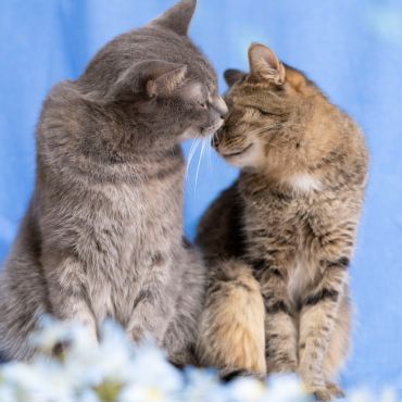 優しいKISS