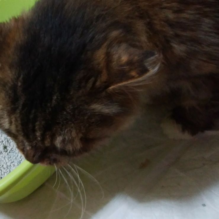 ご縁