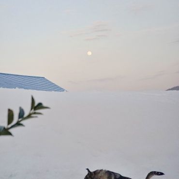 ソイと雪と満月
