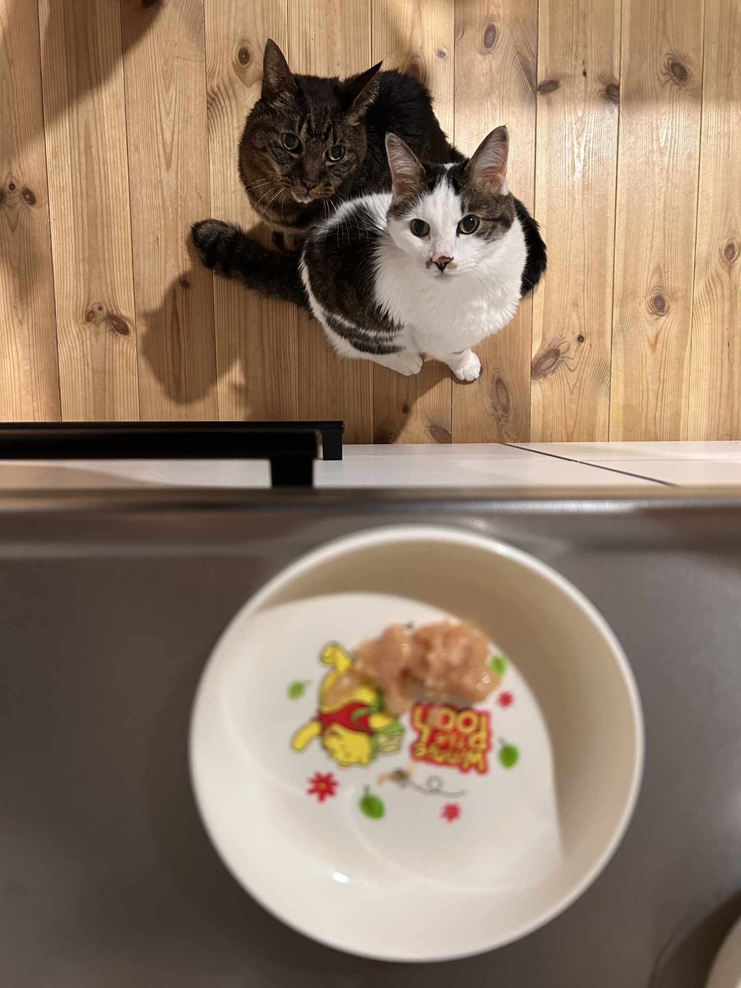 シロクロ