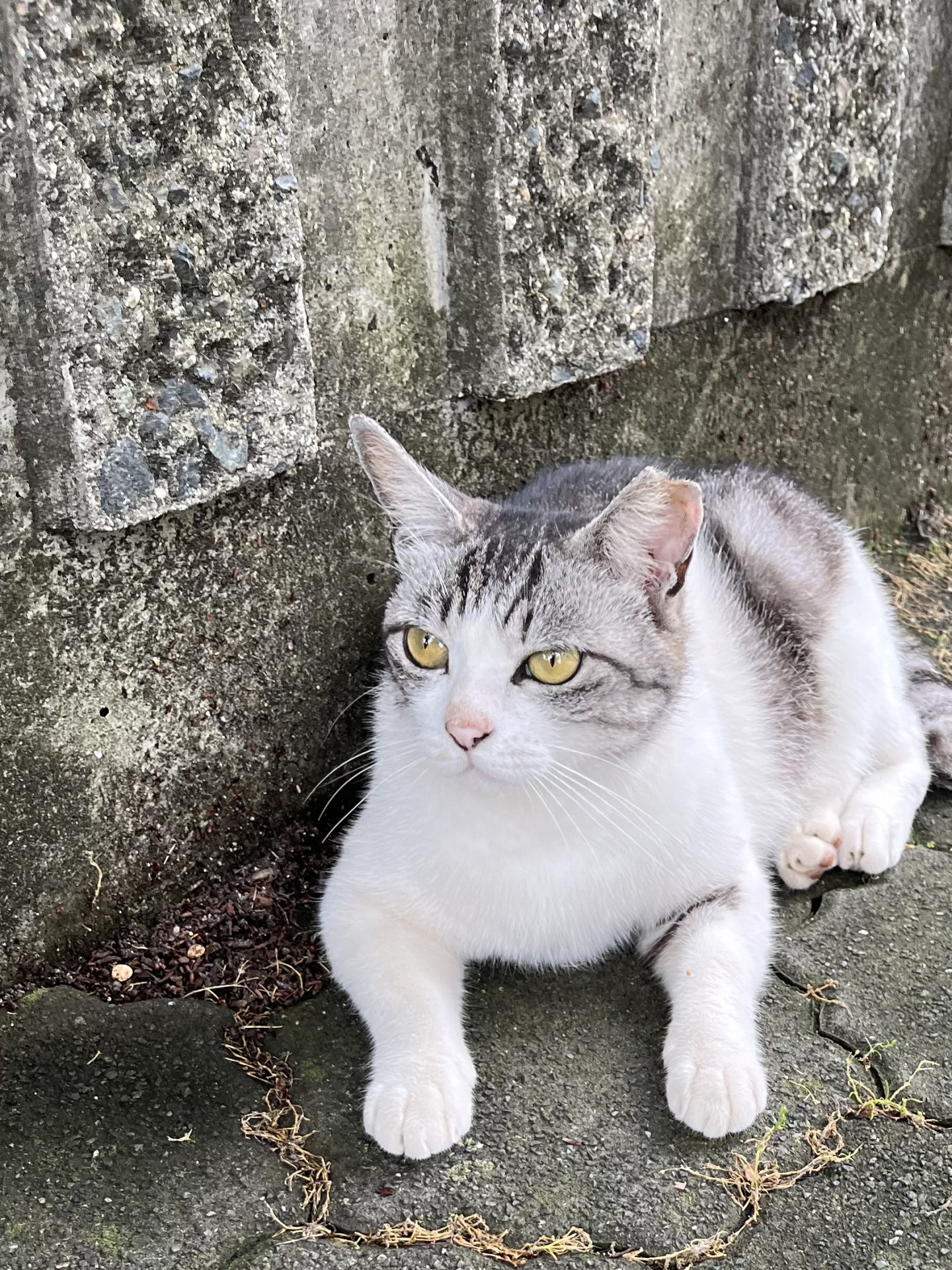 今日も元気に暮らしてます‼️