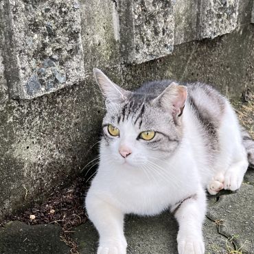 今日も元気に暮らしてます‼️