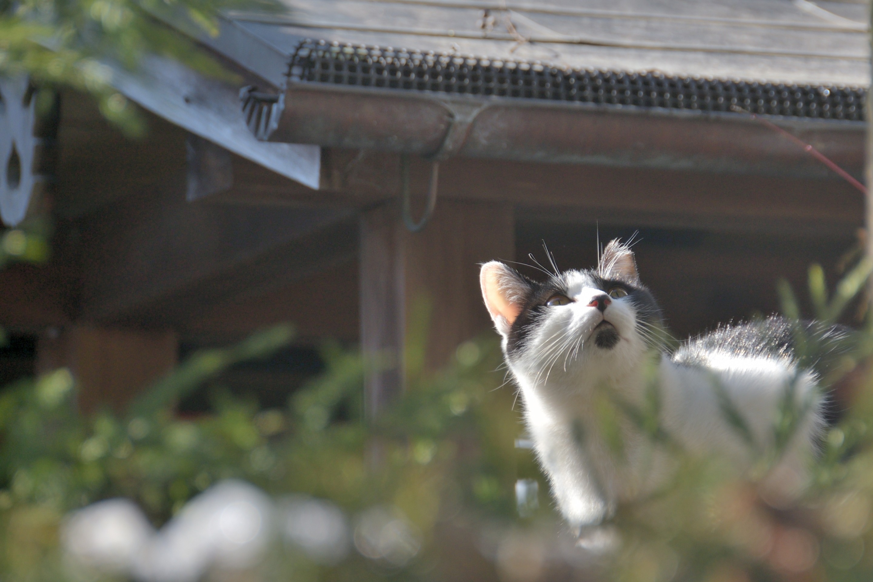 神社で暮らす
