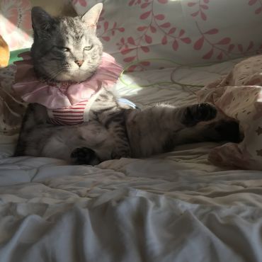 我が家のお姫様さま