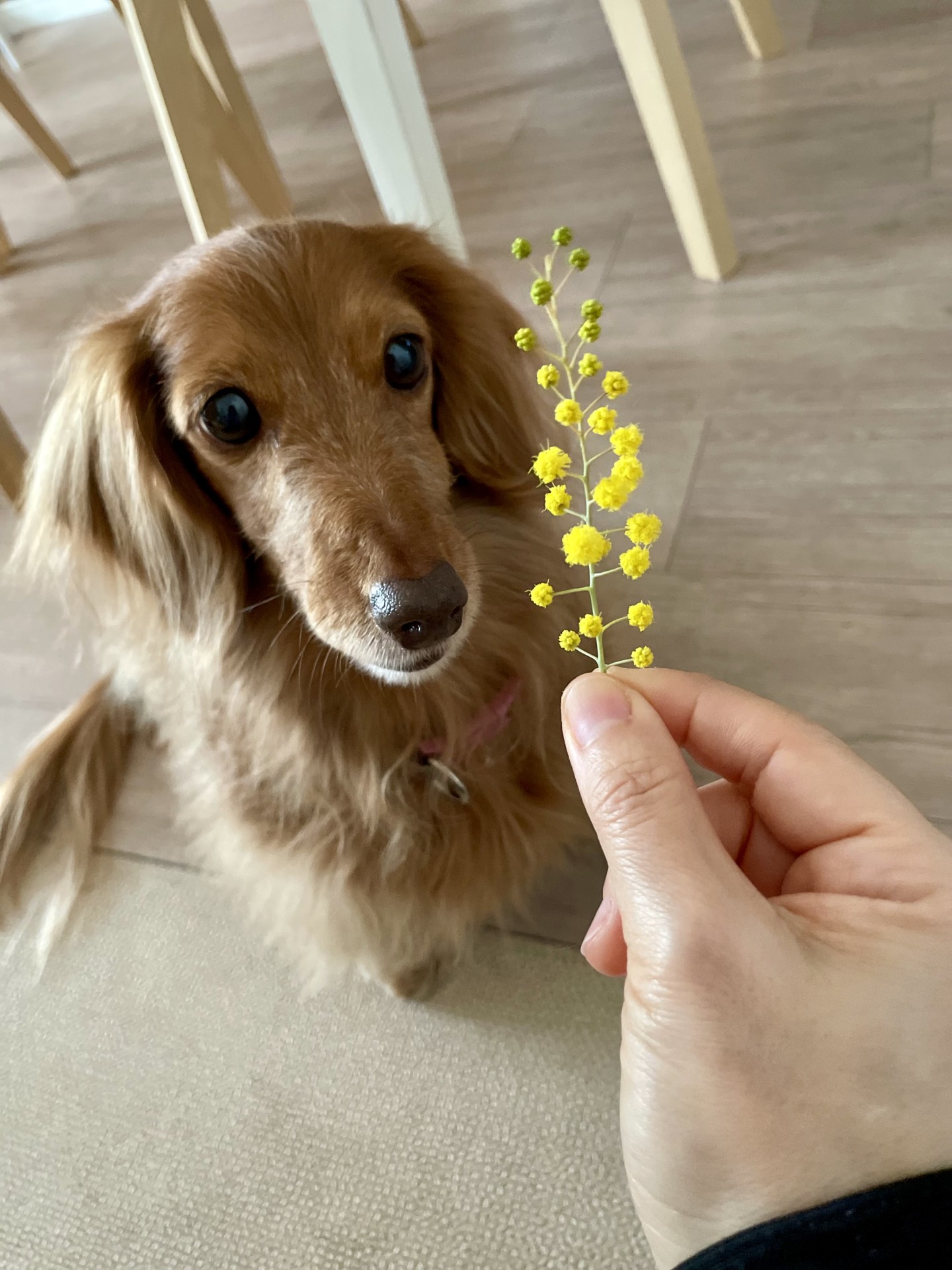 良い香り〜