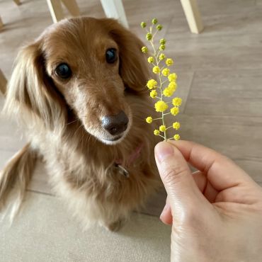 良い香り〜