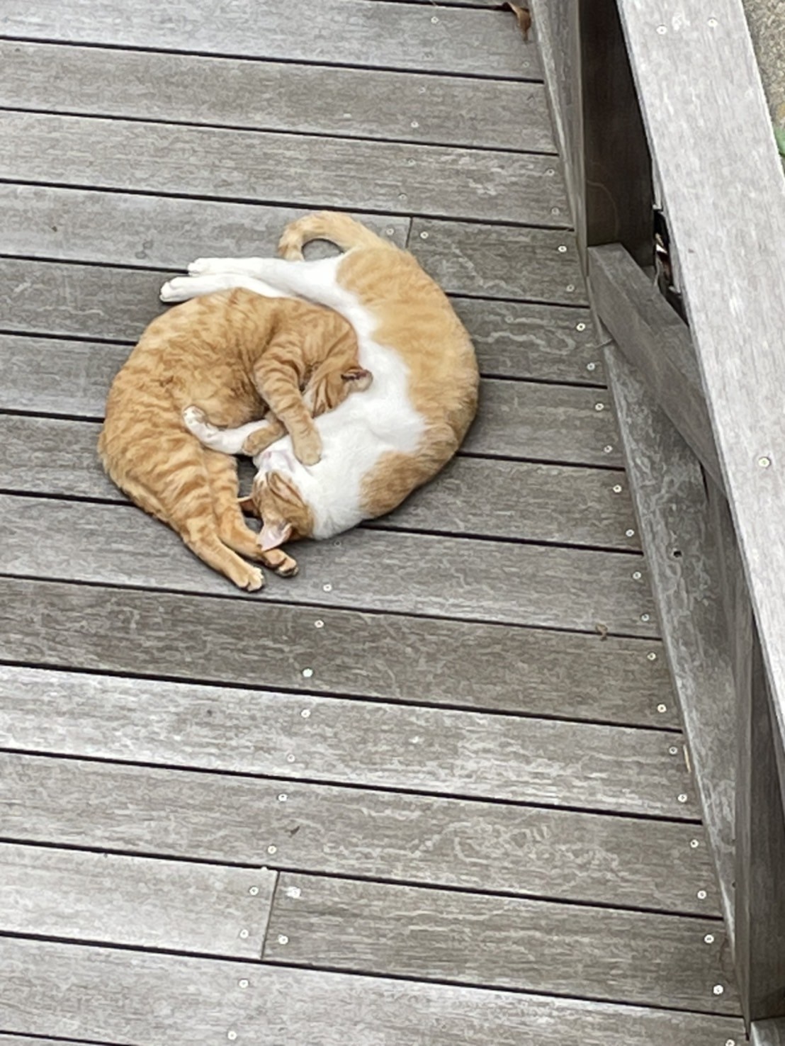 すくすくと成長しています💖
