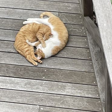 すくすくと成長しています💖