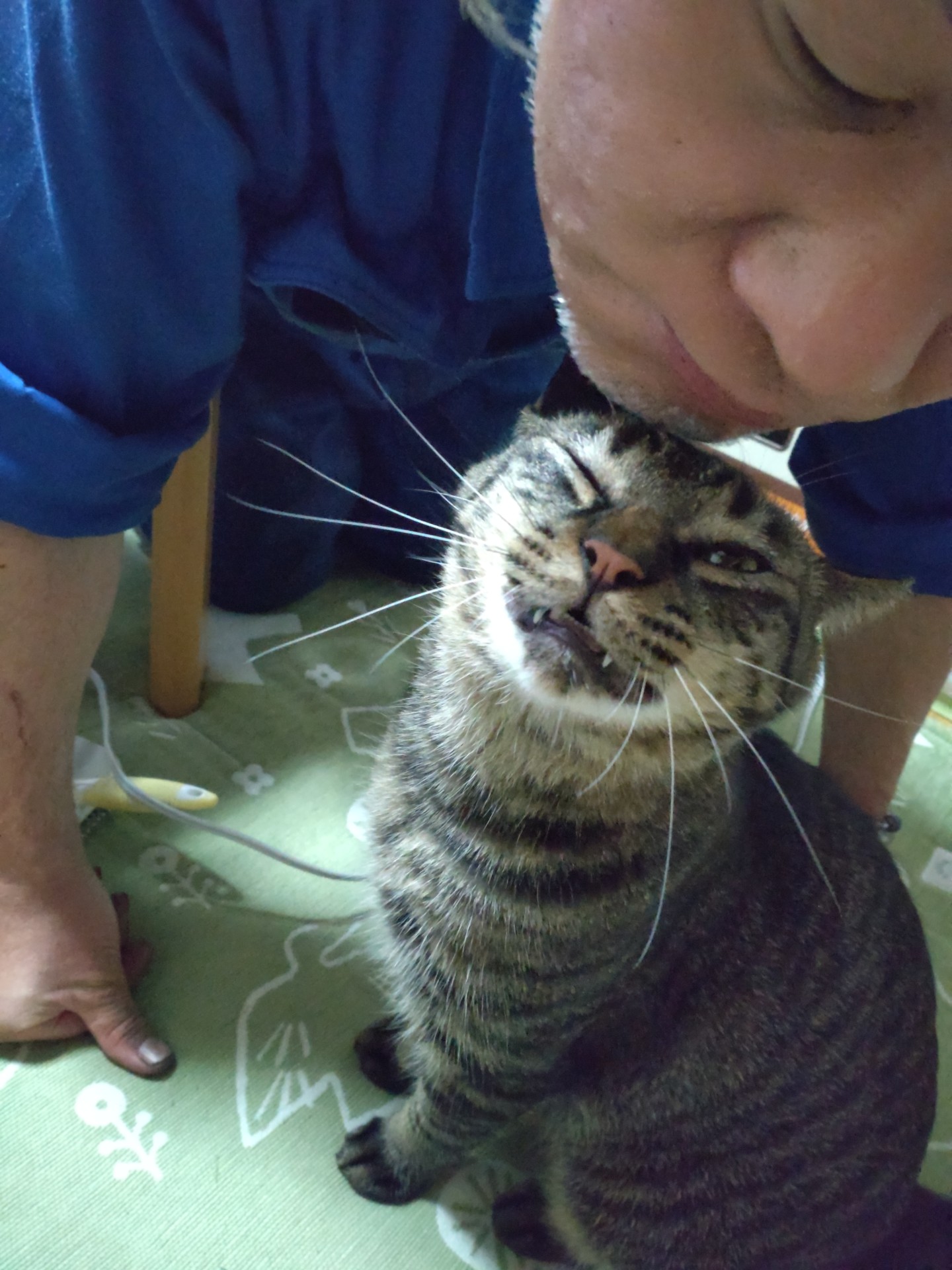 いのち引き継ぎました