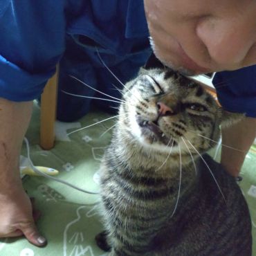 いのち引き継ぎました