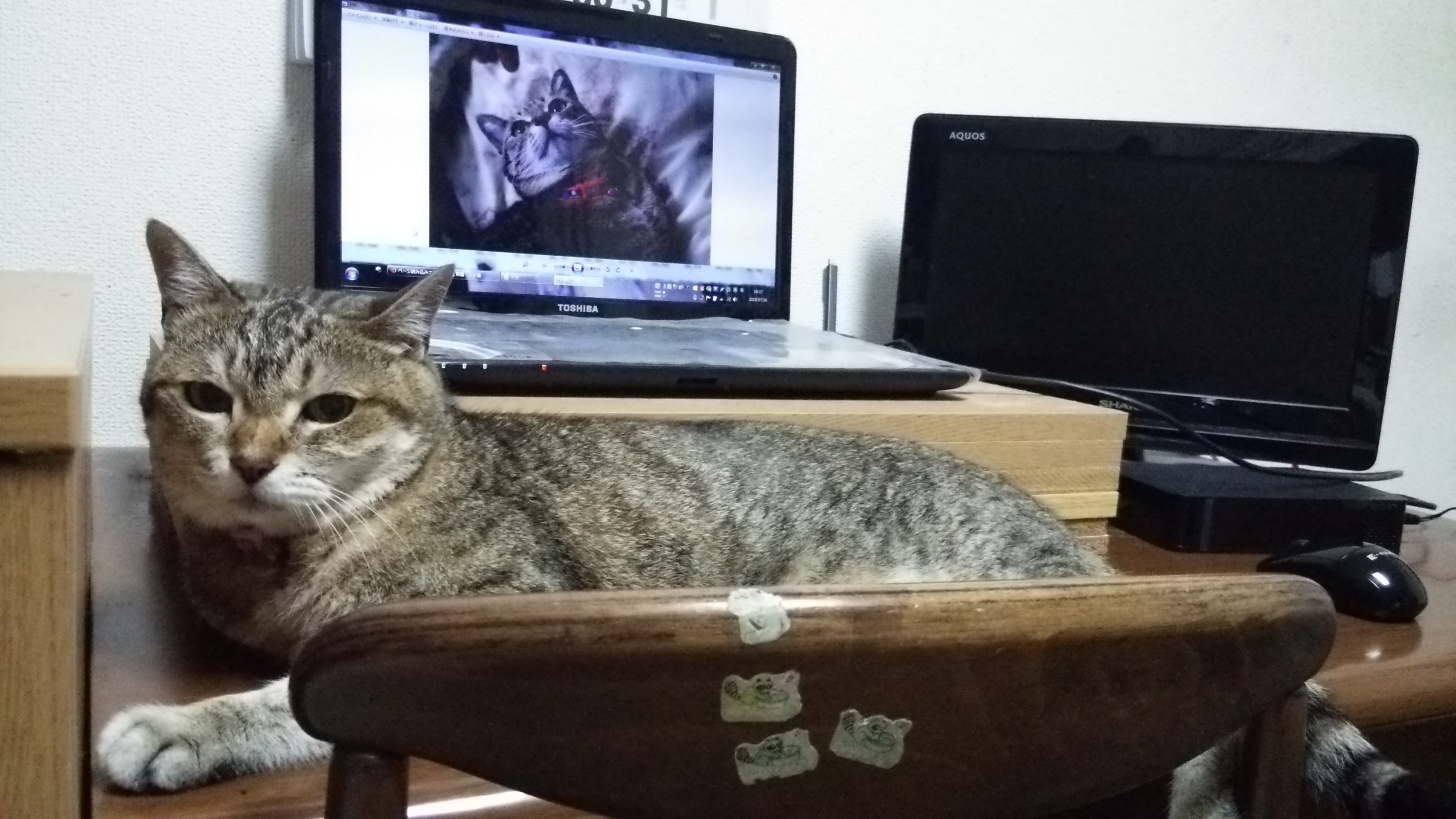 とくとうせき