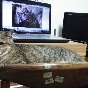 とくとうせき