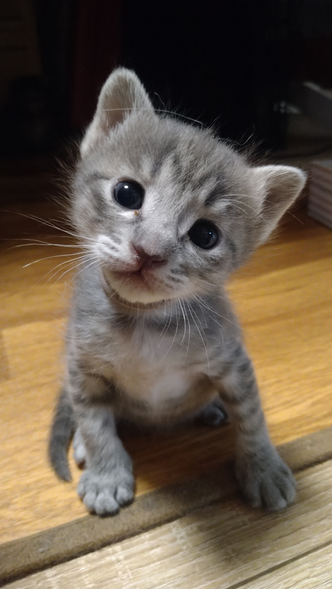 それおいちぃ？