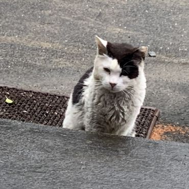 ママがんばれ