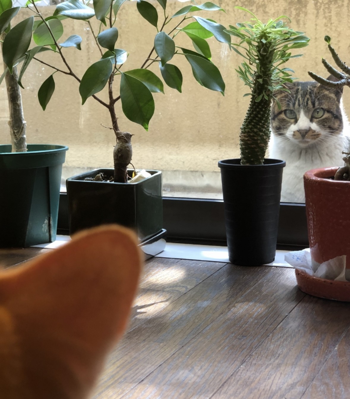 未知との遭遇