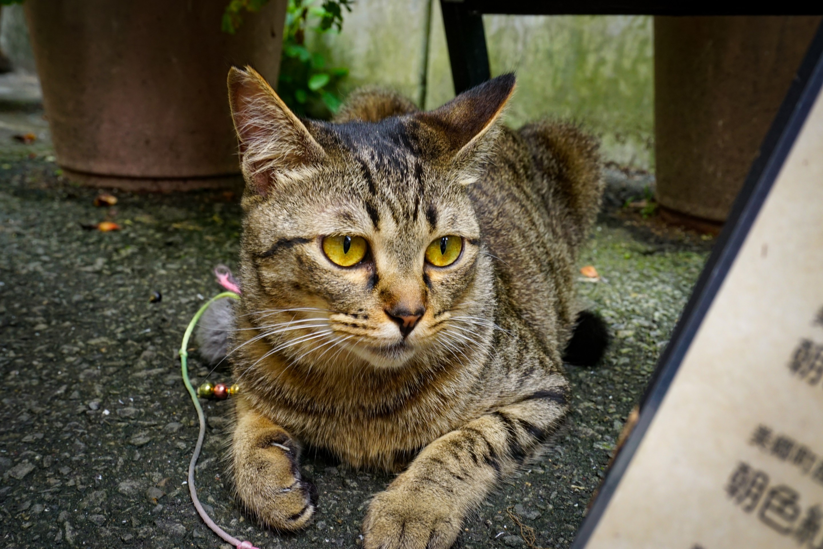待ちぼうけ