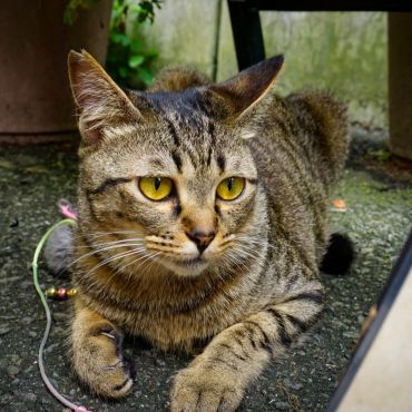 待ちぼうけ
