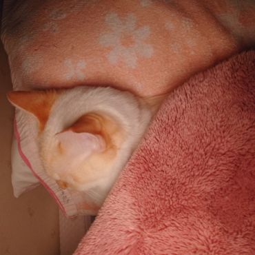 幸せ♥