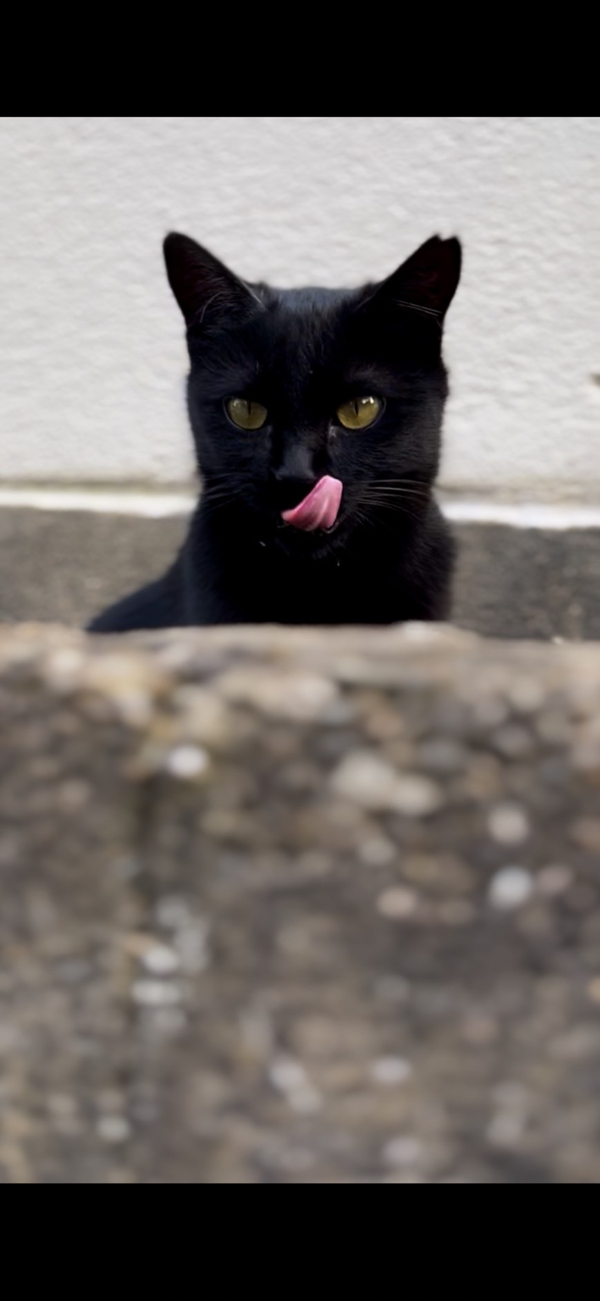 おいしい顔