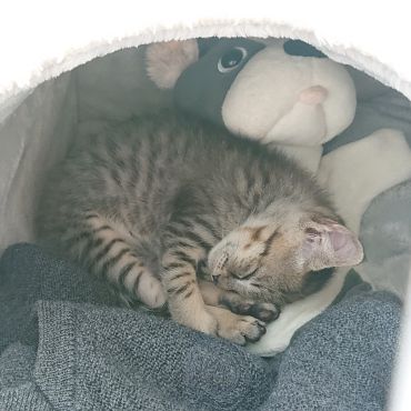 ようこそ我が家へ