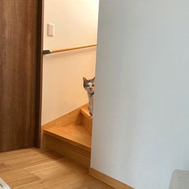 いのちつないだ！