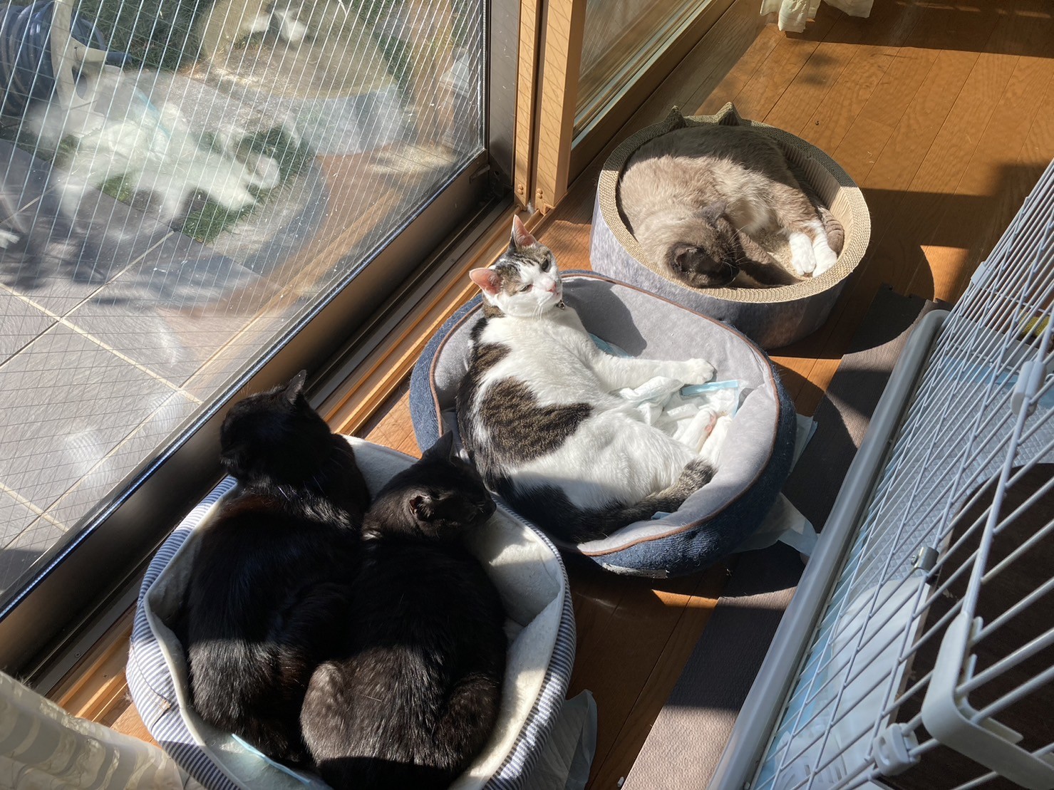 穏やかな休日