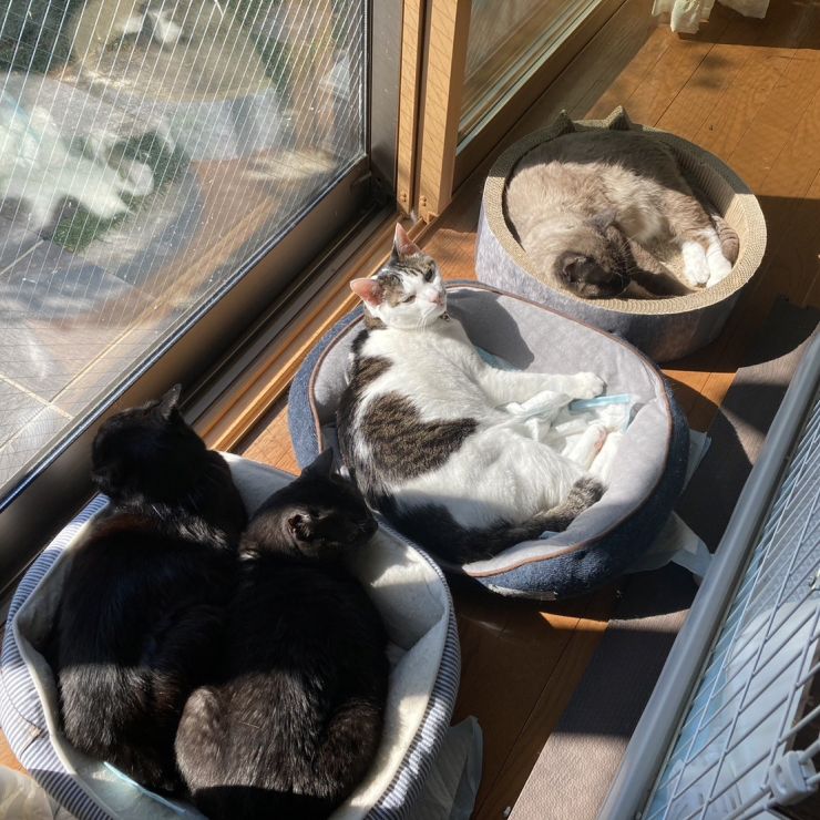 穏やかな休日