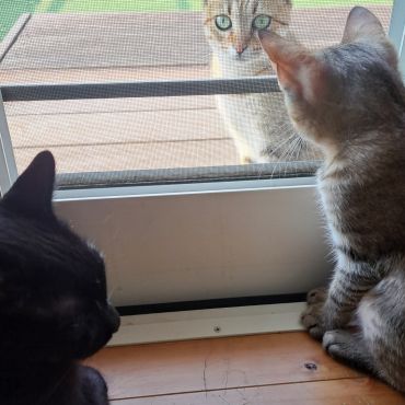 大丈夫、ぼく元気にしてるよ♪