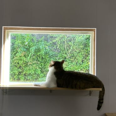 ボクはまってる