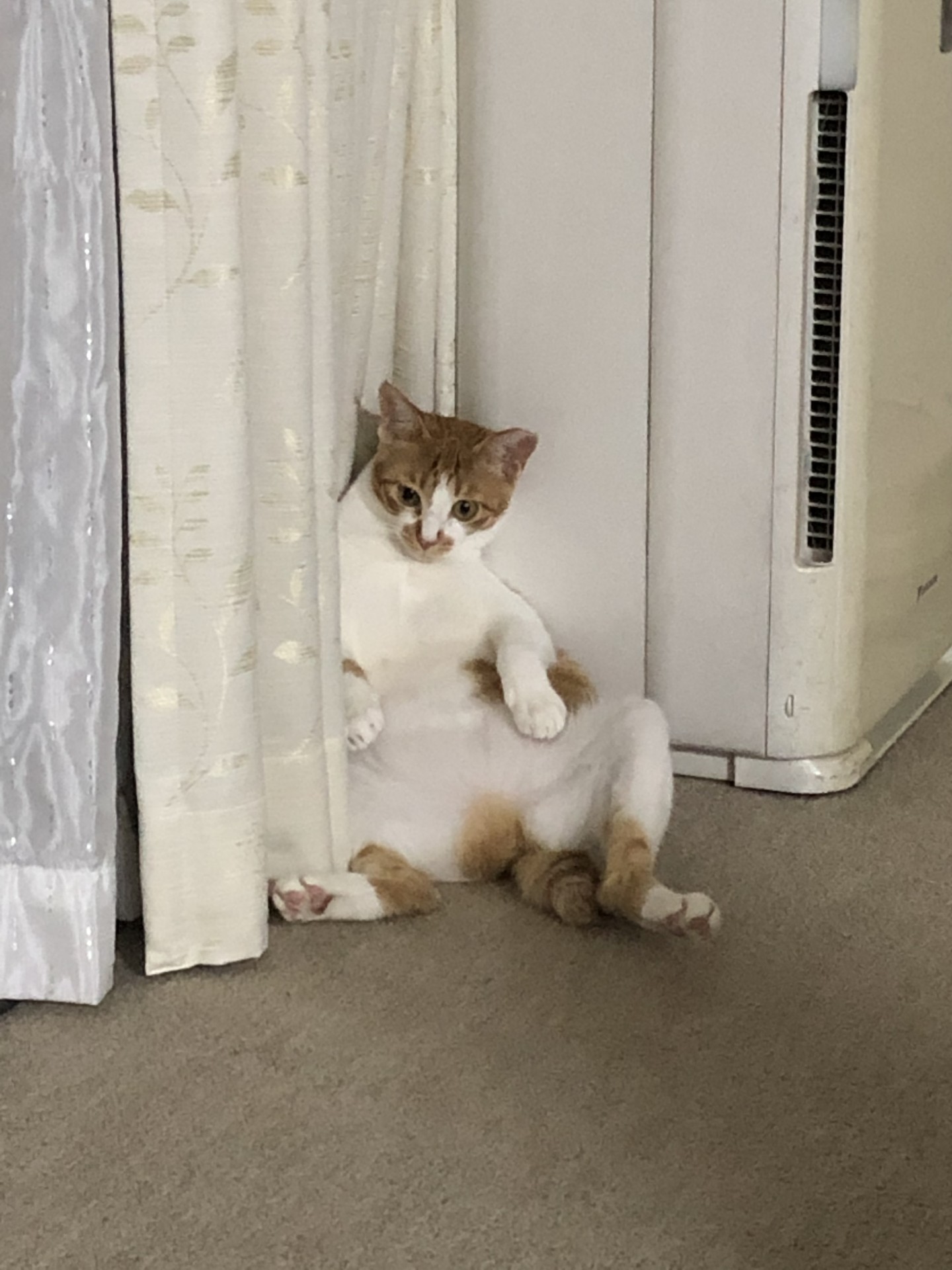 くつろぎのひととき