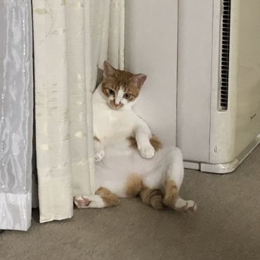 くつろぎのひととき