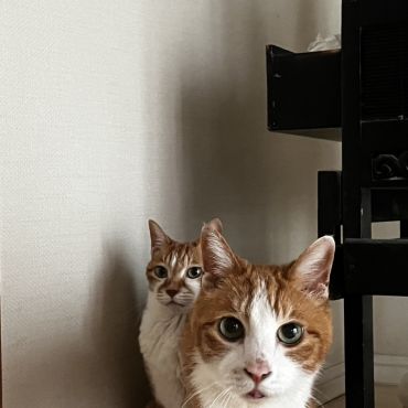 こっちきた！