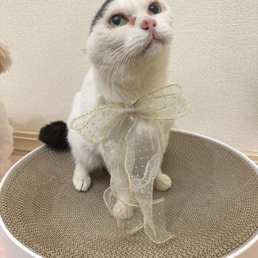 無事保護して1年！