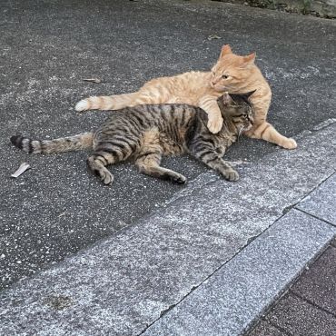 オレが守る！