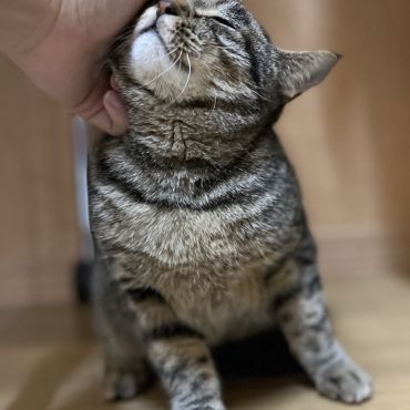 今日からお世話になります