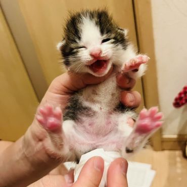 オシッコ できたよ！