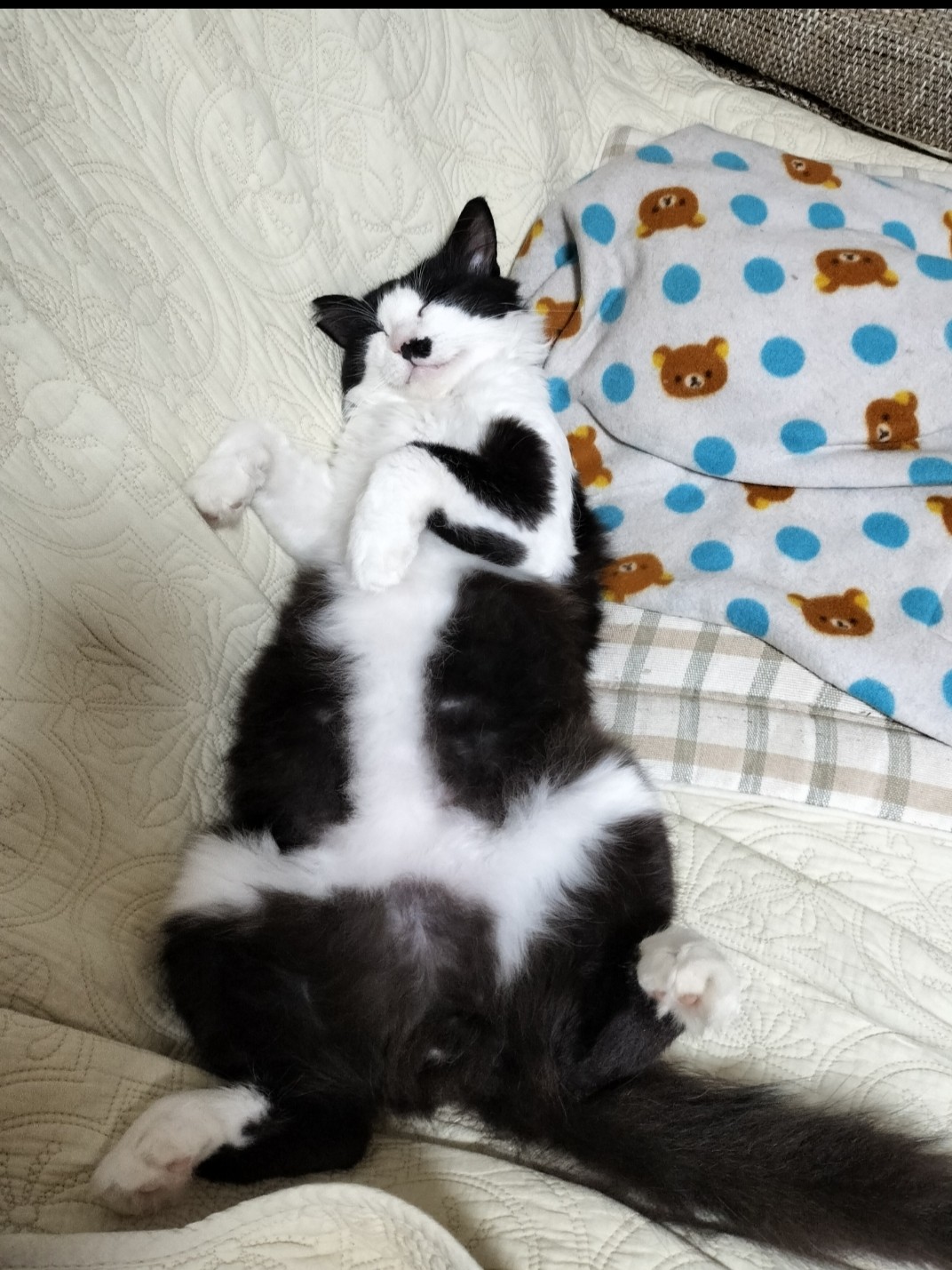 くつろいでます