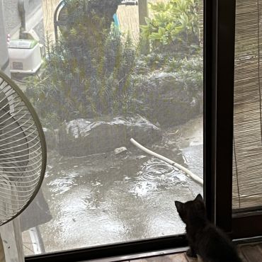 あたちは元気でやってるよ