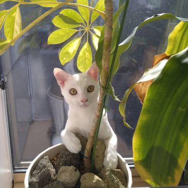 ようこそ、我が家へ