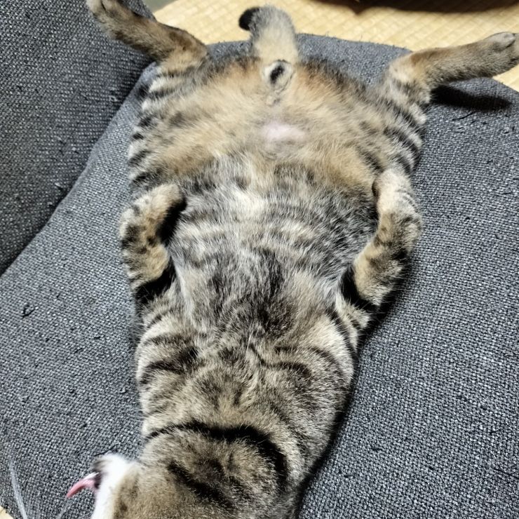 ぱっか〜ん