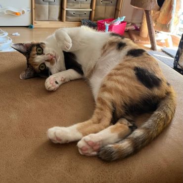 ゆっくりと人を信じることから。